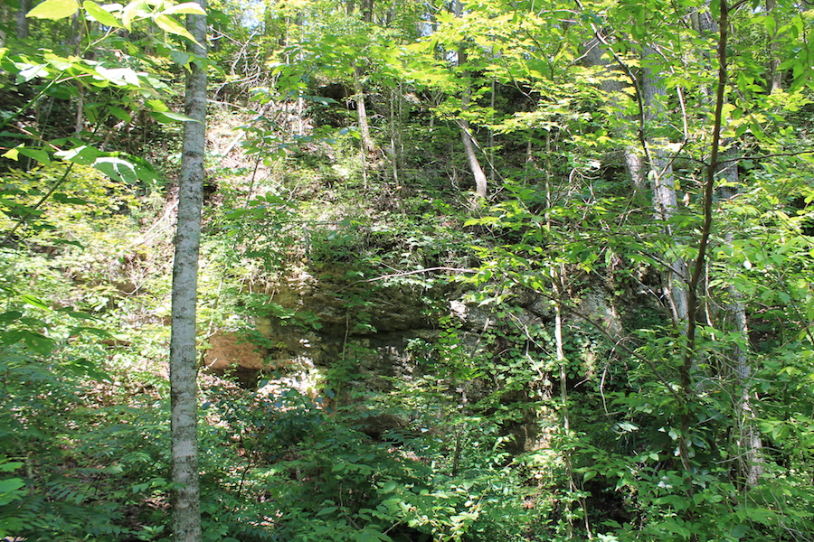 Tract 12 at Cumberland Ridge Ranch in Cumberland County, Kentucky
