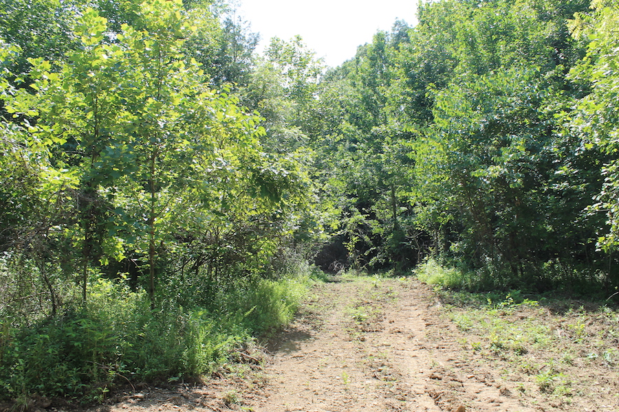 Tract 3 at Cumberland Ridge Ranch in Cumberland County, Kentucky