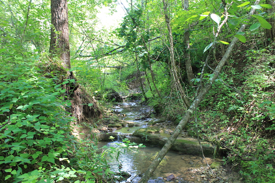 Tract 5 at Cumberland Ridge Ranch in Cumberland County, Kentucky