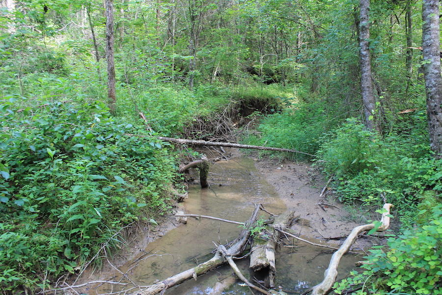 Tract 8 at Cumberland Ridge Ranch in Cumberland County, Kentucky