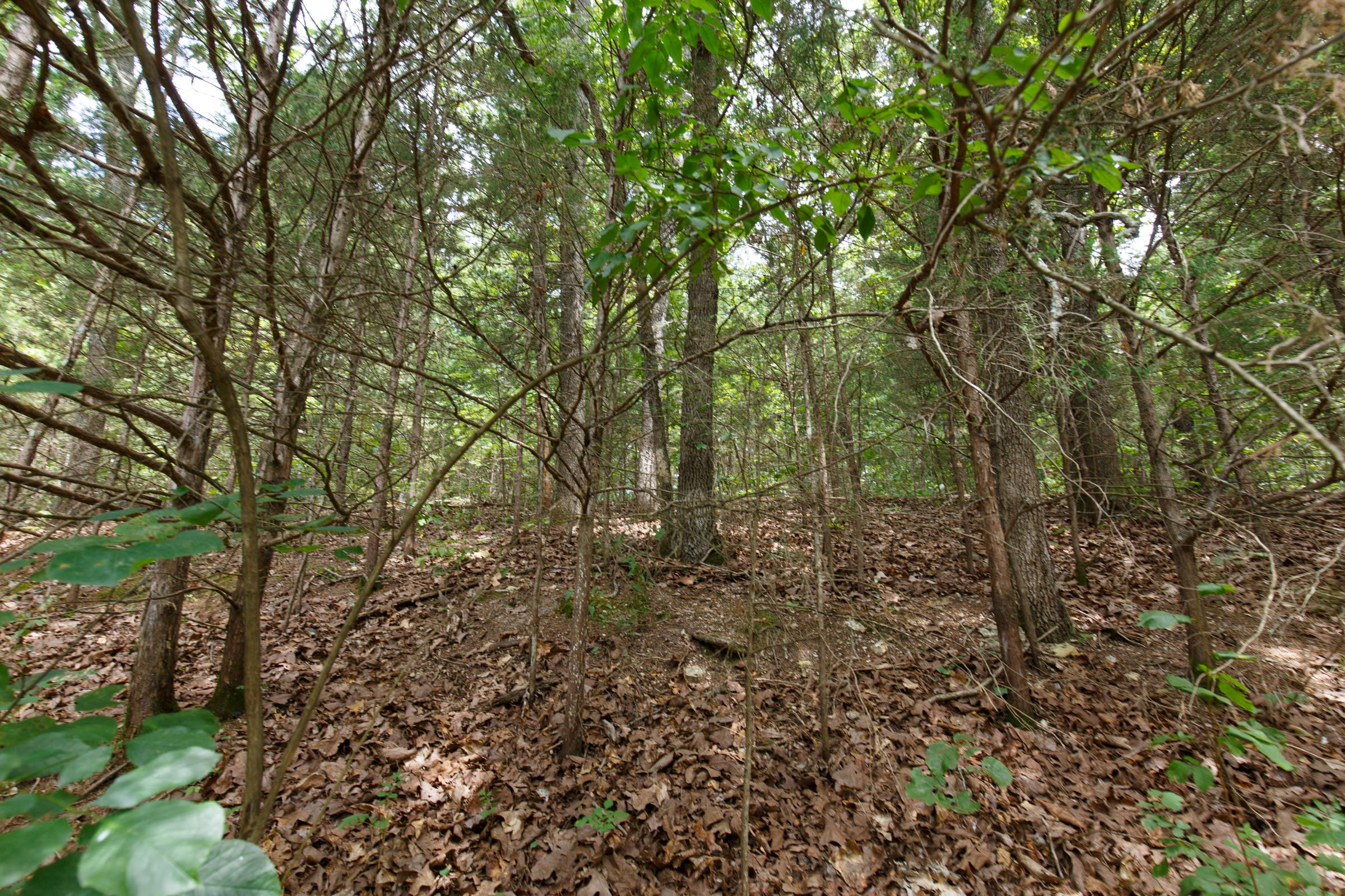 Tract 303 at Springlake in Miller County, Missouri