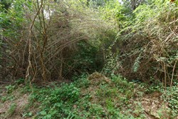 property photo for Springlake Plat 6 Tract 6, 0.19 acres for sale in Miller County, Missouri